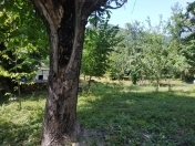 Satılır 10 sot torpaq Qəbələ