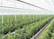 Satılır 1 otaqlı 30000 m2 obyekt Salyan