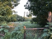 Satılır 17 sot torpaq İsmayıllı