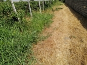 Satılır 3 otaqlı 15000 m2 obyekt Məhəmmədli