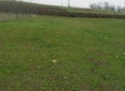 Satılır 8 sot torpaq Göygöl