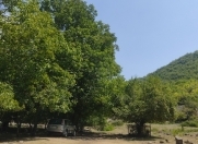 Satılır 13 sot torpaq İsmayıllı