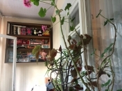 Satılır 3 otaqlı 65 m2 köhnə tikili 3 mkr