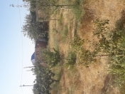 Satılır 4 sot torpaq Sumqayıt