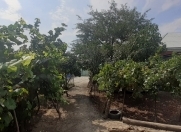 Satılır 6 sot torpaq Quba