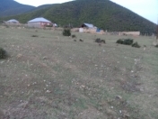 Satılır 10 sot torpaq Şəki