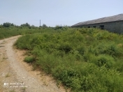 Satılır 146 sot torpaq Salyan