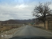 Satılır 6 sot torpaq Qəbələ