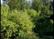 Satılır 14 sot torpaq İsmayıllı