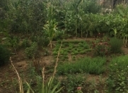 Satılır 4 sot torpaq Buzovna