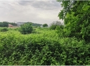 Satılır 8 sot torpaq Qəbələ