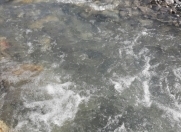 Satılır 8 sot torpaq İsmayıllı