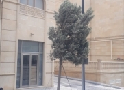 Satılır 1 otaqlı 40 m2 obyekt Asan Xidmət-2