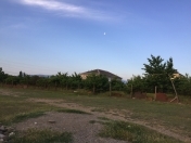 Satılır 10 sot torpaq Quba