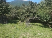 Satılır 10 sot torpaq Qəbələ