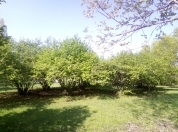 Satılır 44 sot torpaq Qəbələ