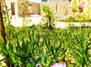 İcarəyə verilir 4 otaqlı 220 m2 bağ evi Nardaran