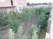 Satılır 12 otaqlı 448 m2 bağ evi Pirşağı