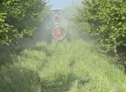 Satılır 900 sot torpaq Qusar