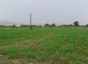 Satılır 25680 sot torpaq Şabran