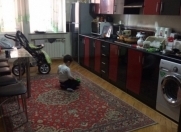 İcarəyə verilir 3 otaqlı 100 m2 yeni tikili İnşaatçılar m.