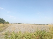 Satılır 15 sot torpaq Qəbələ