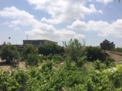 İcarəyə verilir 30 sot torpaq Sumqayıt