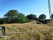 Satılır 11 sot torpaq Şamaxı