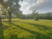 Satılır 5 sot torpaq İsmayıllı