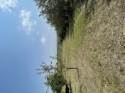 Satılır 64 sot torpaq Quba