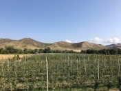 Satılır 300 sot torpaq Quba