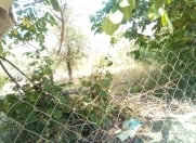 Satılır 5 sot torpaq Quba