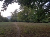 Satılır 20 sot torpaq Qəbələ