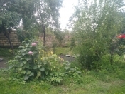 Satılır 5 sot torpaq Zaqatala