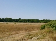 Satılır 1200 sot torpaq Xaçmaz