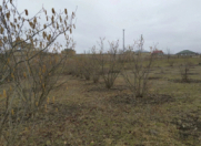 Satılır 30 sot torpaq Qusar