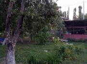 Satılır 5 sot torpaq Qax