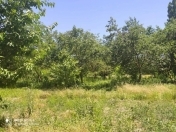 Satılır 40 sot torpaq Qusar