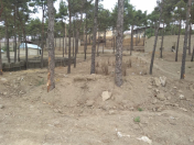 Satılır 8 sot torpaq Şamaxı