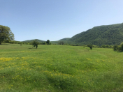 Satılır 200 sot torpaq Şamaxı