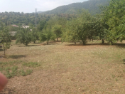 Satılır 40 sot torpaq Qəbələ