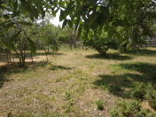 Satılır 27 sot torpaq Qəbələ