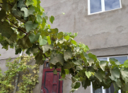 Satılır 6 otaqlı 170 m2 həyət evi Hövsan