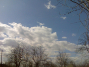 Satılır 2000 sot torpaq Qəbələ