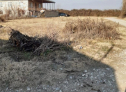 Satılır 8 sot torpaq Şəki