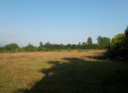 Satılır 70 sot torpaq Qəbələ