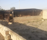 Satılır 6 otaqlı 90 m2 həyət evi Hacıqabul
