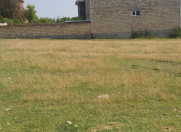 Satılır 5 sot torpaq Qax