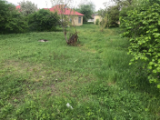 Satılır 11 sot torpaq Qəbələ