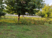 Satılır 5 sot torpaq Qəbələ